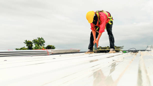 Best Sheet Metal Roofing  in Mulberry, IN