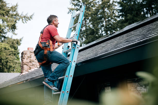 Best Asphalt Shingle Roofing  in Mulberry, IN