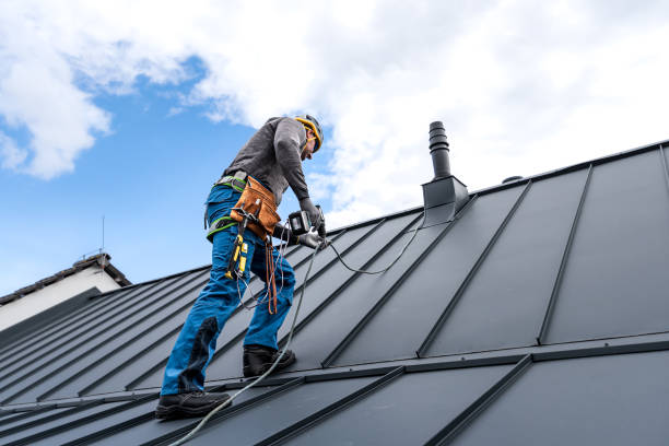 Best Roof Insulation Installation  in Mulberry, IN